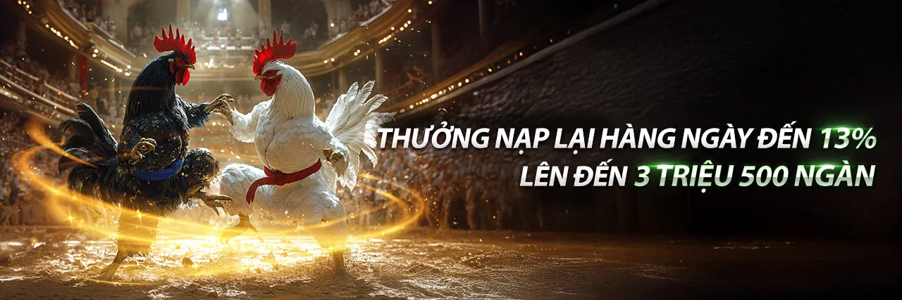 Đá Gà Trực Tuyến 8kbe với Giftcode Hấp Dẫn